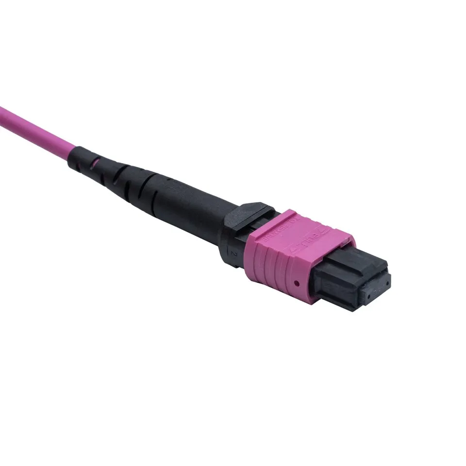3m LSZH OM4 12-Core Multimode Fiber Optic MPO Patch Cord price