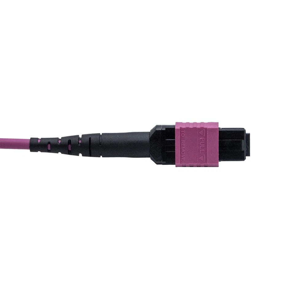 3m LSZH OM4 12-Core Multimode Fiber Optic MPO Patch Cord high quality