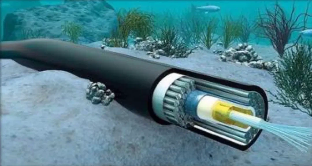 Diagram: Submarine Optical Cable Schematic Diagram: Submarine Optical Cable Schematic