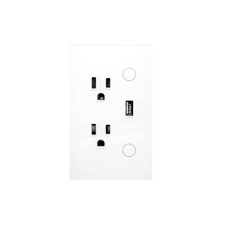 Socket de pared Smart Wi -Fi/Zigbee estándar de EE. UU. Con puerto USB - Control de voz compatible con Alexa y Google Home